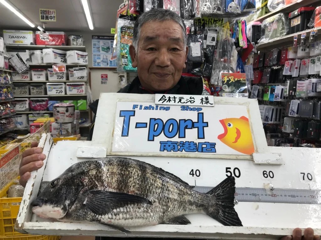 またまた南港大橋にてチヌ53.2cm！ フィッシングショップTポート｜大阪 南港・貝塚にある釣具店