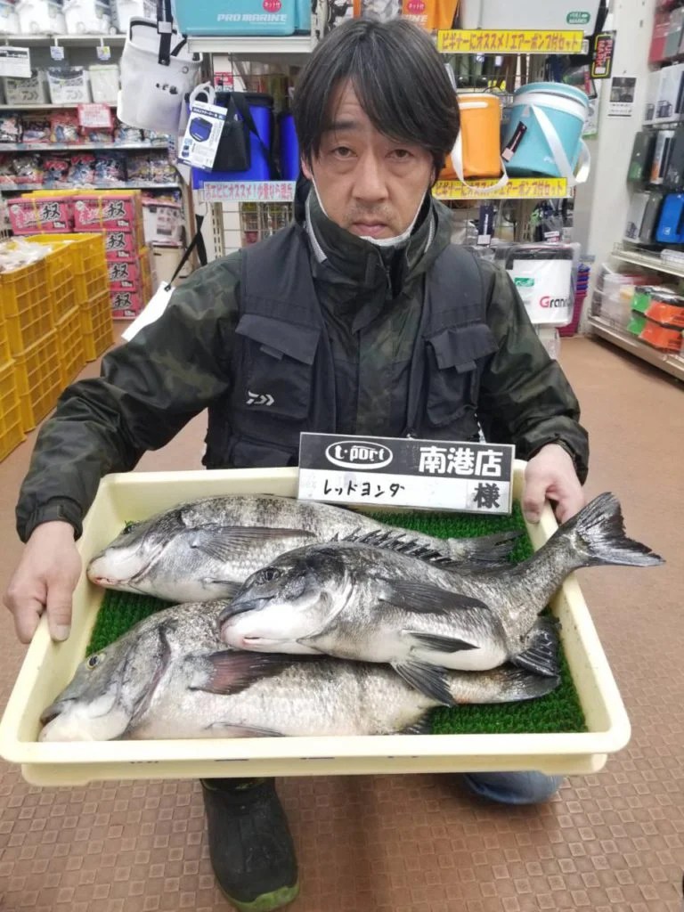 南港にて落とし込み釣りで年無しチヌ3匹！ フィッシングTポート｜大阪 南港・貝塚にある釣具店