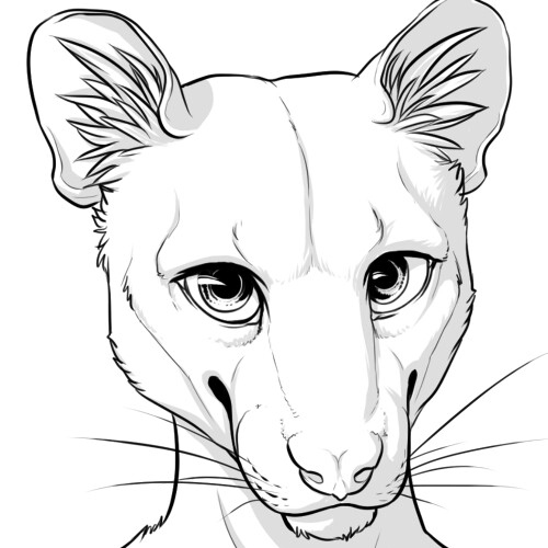 Mammals coloring pages coloring-for-kids.com