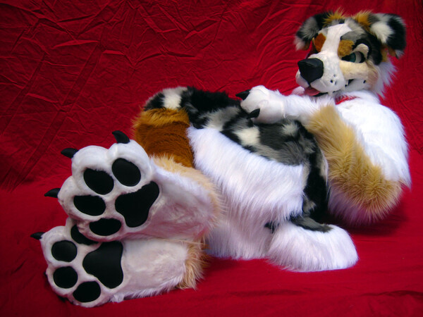 Aussie paws by wildlife Fur Affinity [dot] net