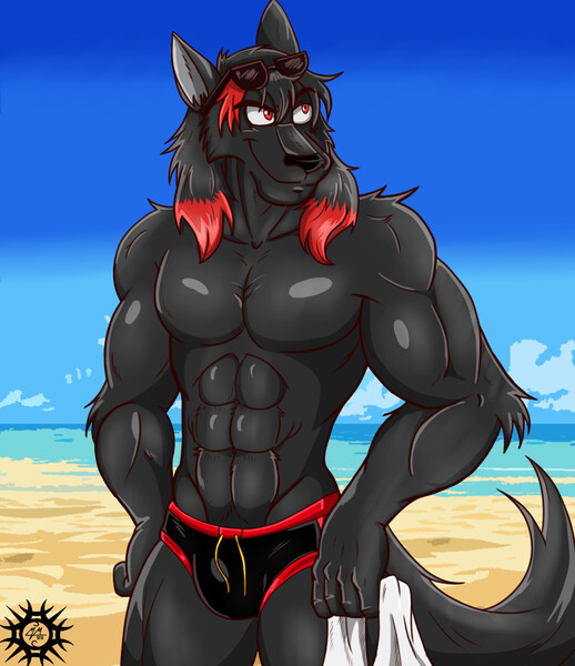 COMMISSION Wolfman at The Beach by M.McAllister88 by