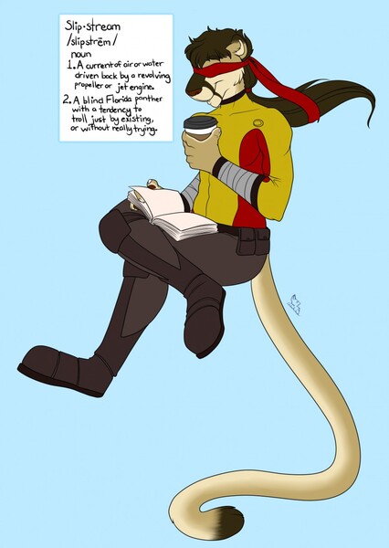 Definition of a Slipstream by GameGod210 Fur Affinity [dot] net