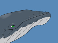 Whale Mawshot Furaffinity - Sperm Whale Maw C By Imperatorcaesar By Darthardios Fur Affinity Dot Net
