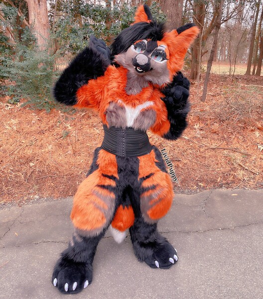 Artwork Gallery for LividPuppy -- Fur Affinity [dot] net