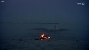 Anne Louise Hassing - Nude Celebrities Forum | FamousBoard.com