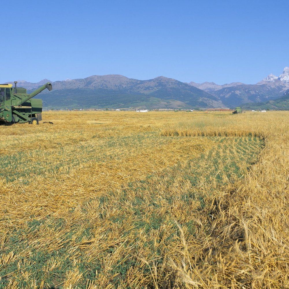 Eastern Idaho Homes For Sale Idaho Falls Real Estate