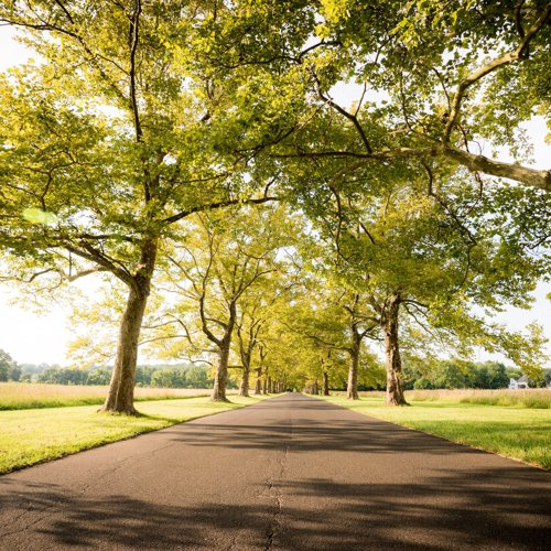 Homes For Sale Bucks County PA Real Estate & Houses in Bucks County