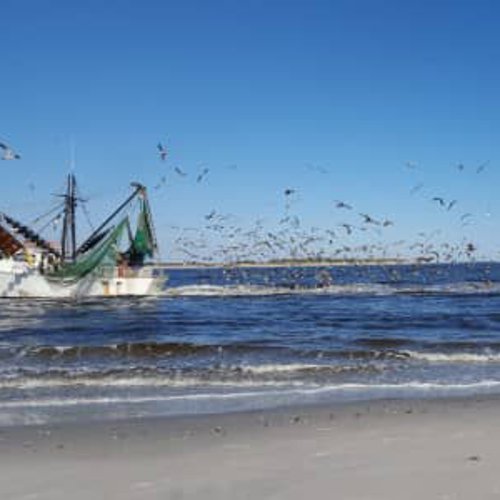 Topsail Island Real Estate Lewis Realty Associates, Inc Home