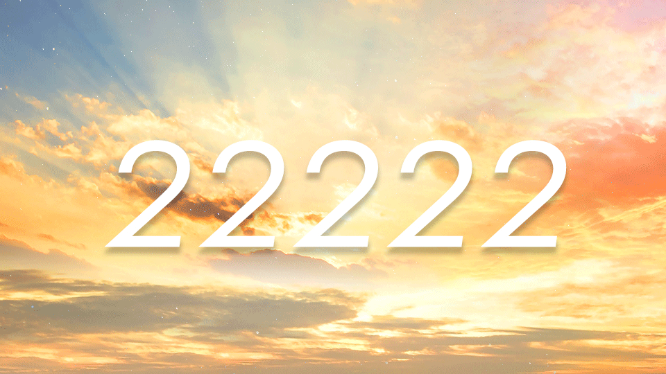 As i previously shared, we are in a very important month for those who are ready to reclaim their angelic wings, opening. Take control of your destiny on february 22, 2022, the last 222 sequence of the 21st century will occur. 2/22/22 What Does This Mean? Times Square Chronicles