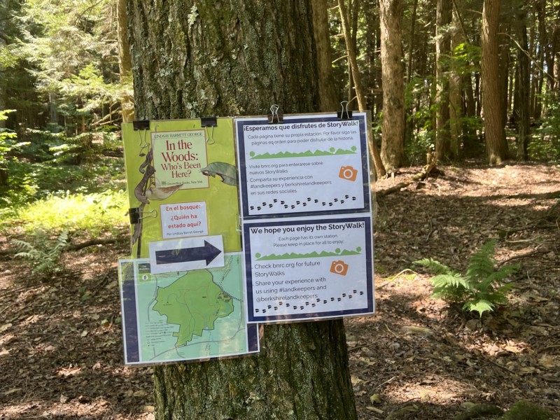 Staying In Pittsfield Pittsfield State Forest and Berry Pond Times Square Chronicles