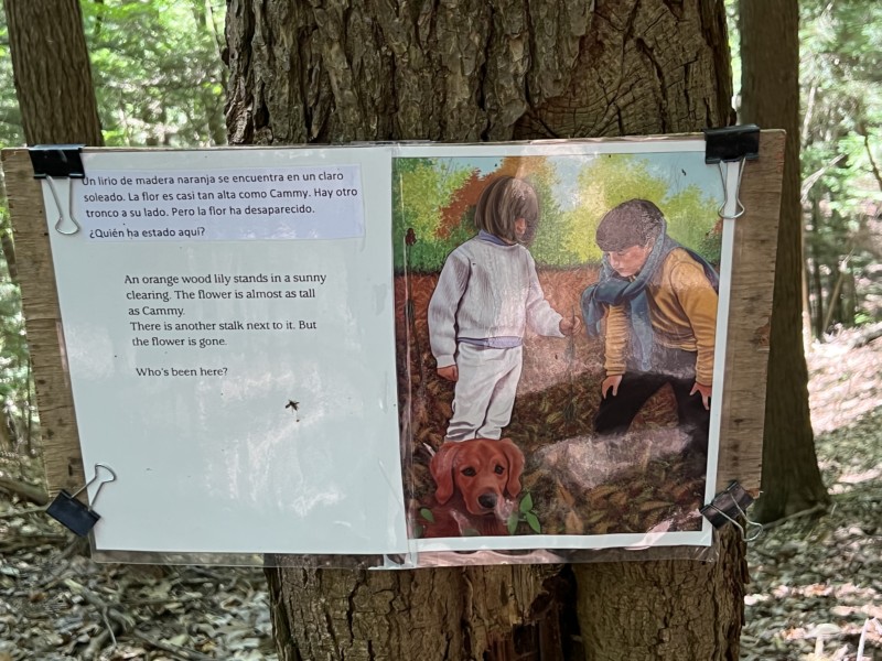 Staying In Pittsfield Pittsfield State Forest and Berry Pond Times Square Chronicles