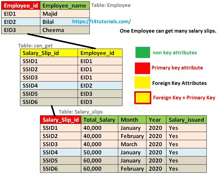 One to Many relationship examples in Database