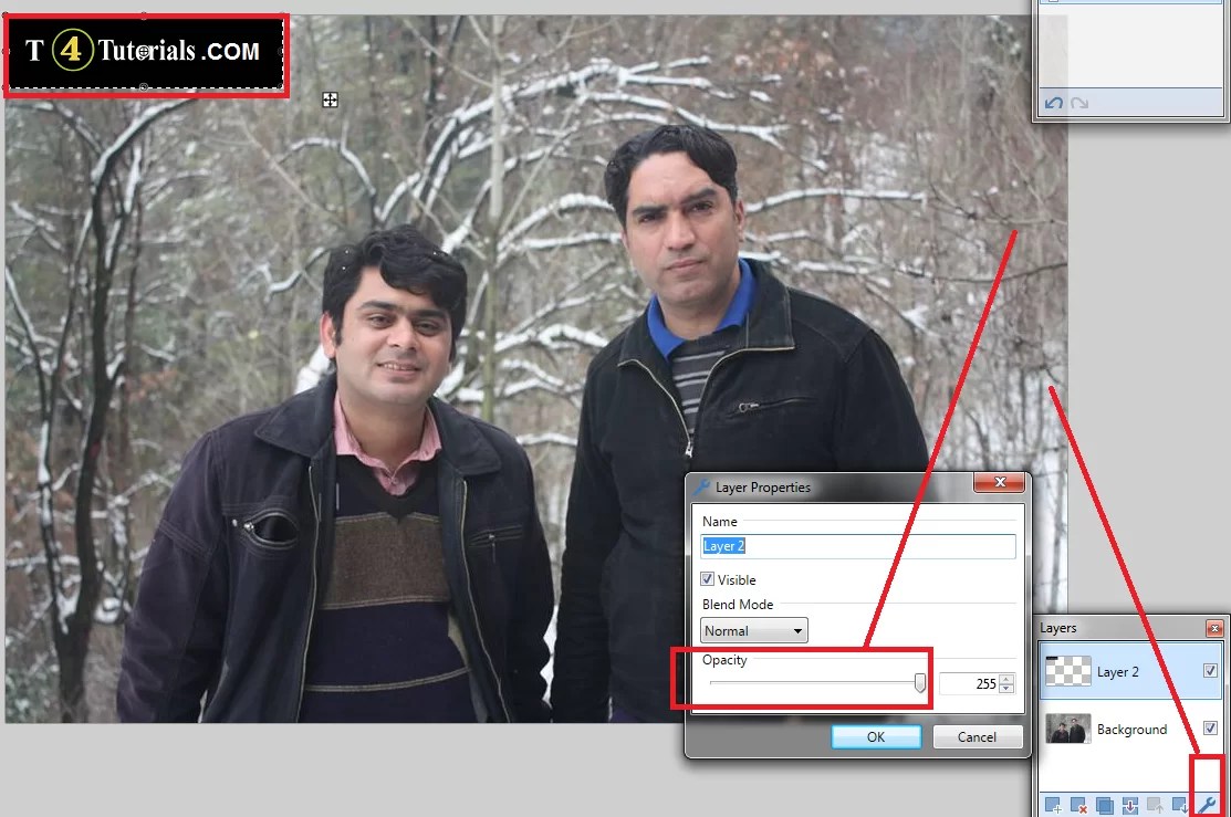How to watermark images on paint without