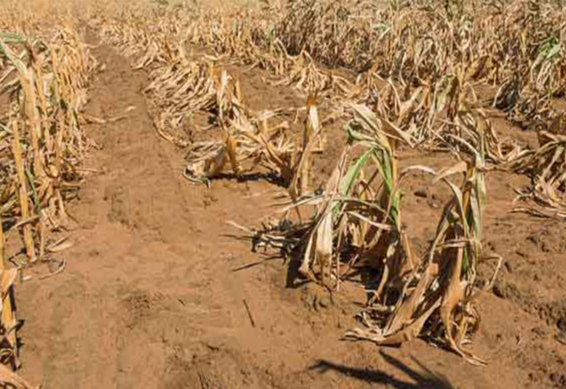 EU Donates US3.9m To Zimbabwe To Combat Food Insecurity Pindula News
