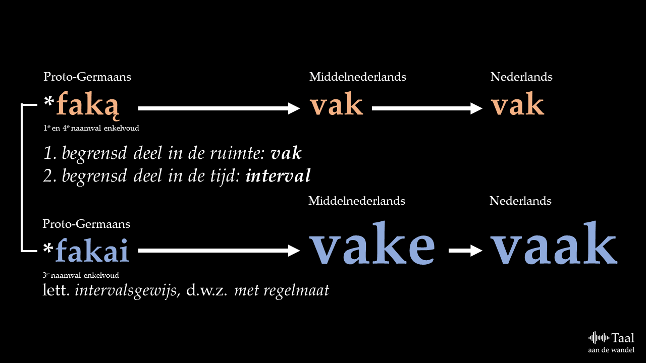Vaak, vak en oft Taal aan de wandel