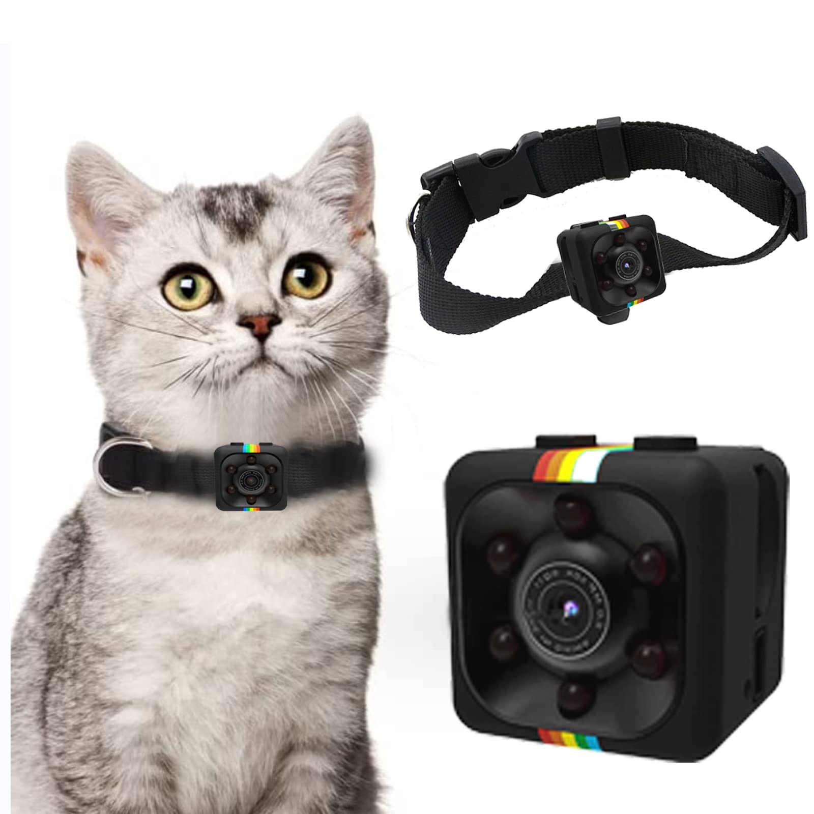 Top 5 Best Cat Collar Cameras in 2024