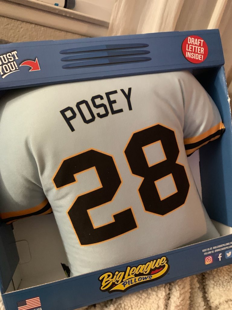 Big League Pillow Tabbys Pantry