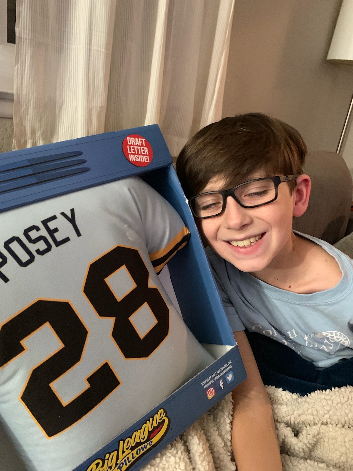 Big League Pillow Tabbys Pantry