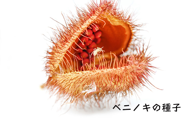 アナトー色素の危険性 たべるご