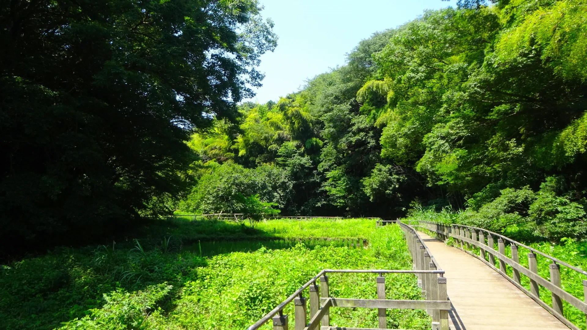 生田緑地