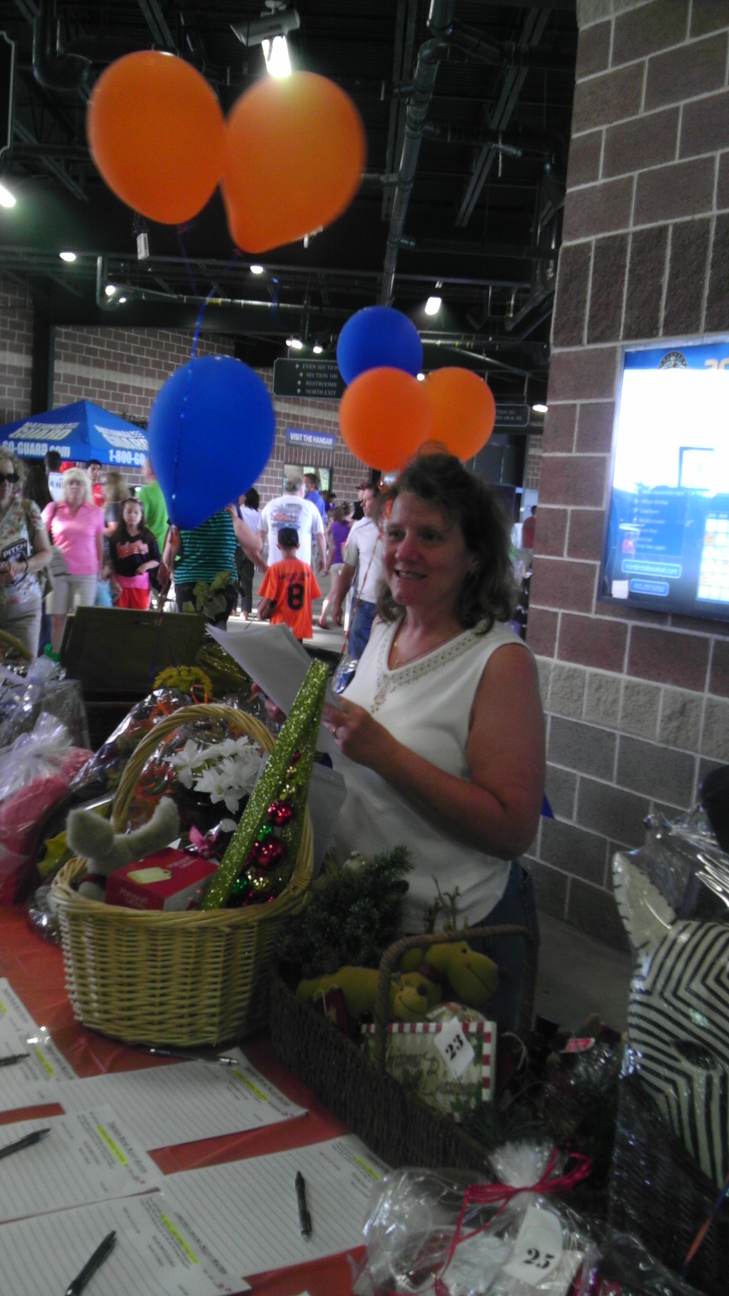 IRONBIRDS GAME & SILENT AUCTION 2013 Tabitha's House