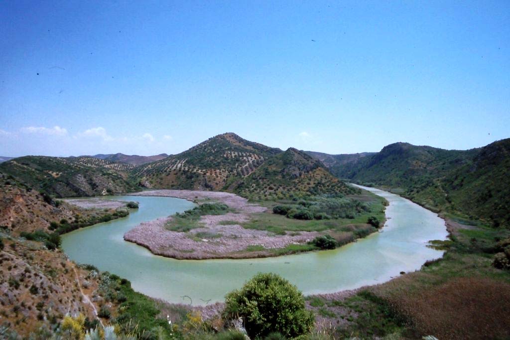 Tablas Solunares de Lucena 2024