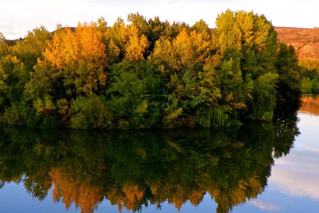 Tablas Solunares de Calahorra 2024