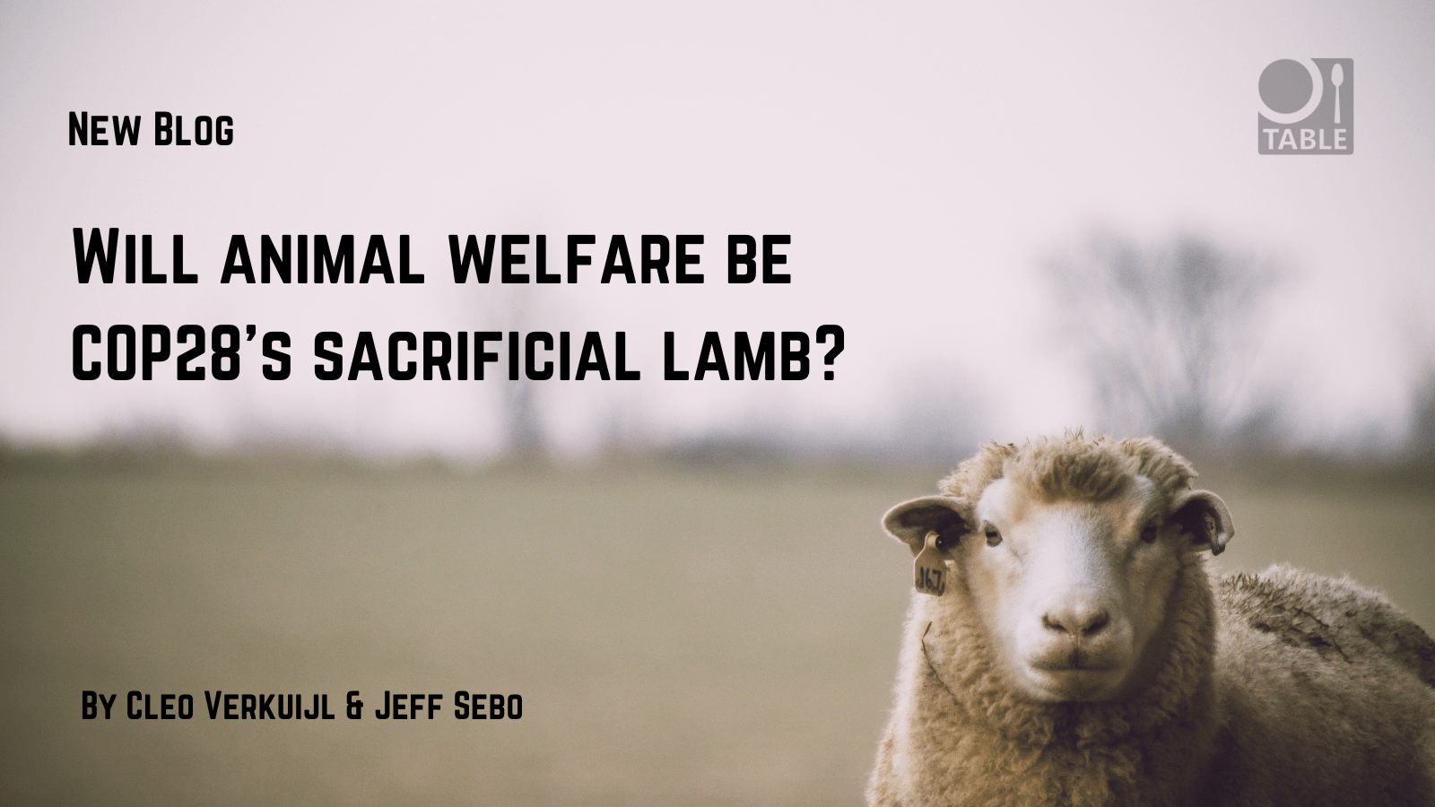 Will animal welfare be COP28's sacrificial lamb? TABLE Debates