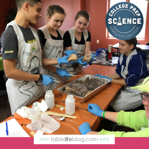 A Quick and Easy Way to Tackle High School Science Labs in Your Homeschool • Table Life Blog