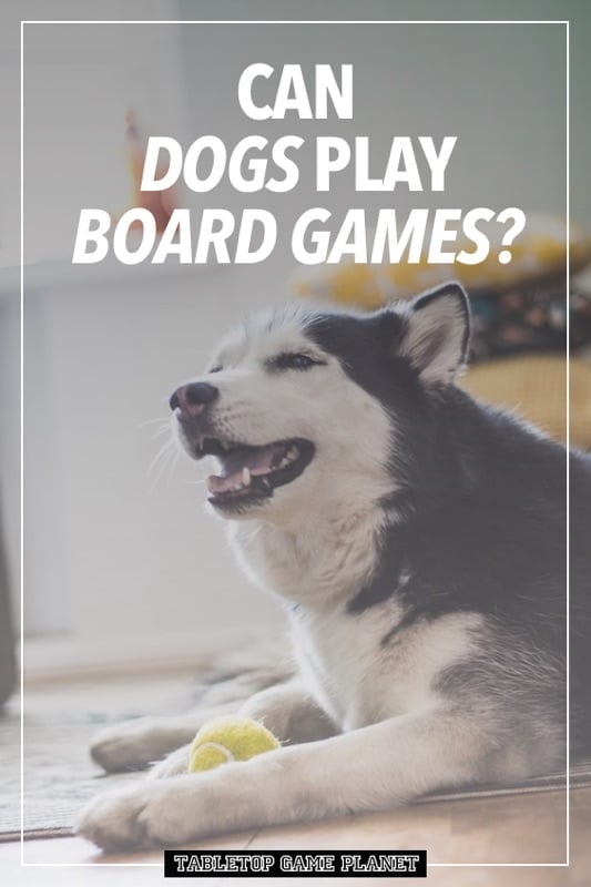 Can Dogs Play Board Games? Tabletop Game