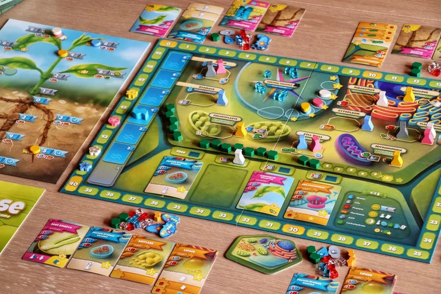 Cellulose A Plant Cell Biology Game Tabletopping