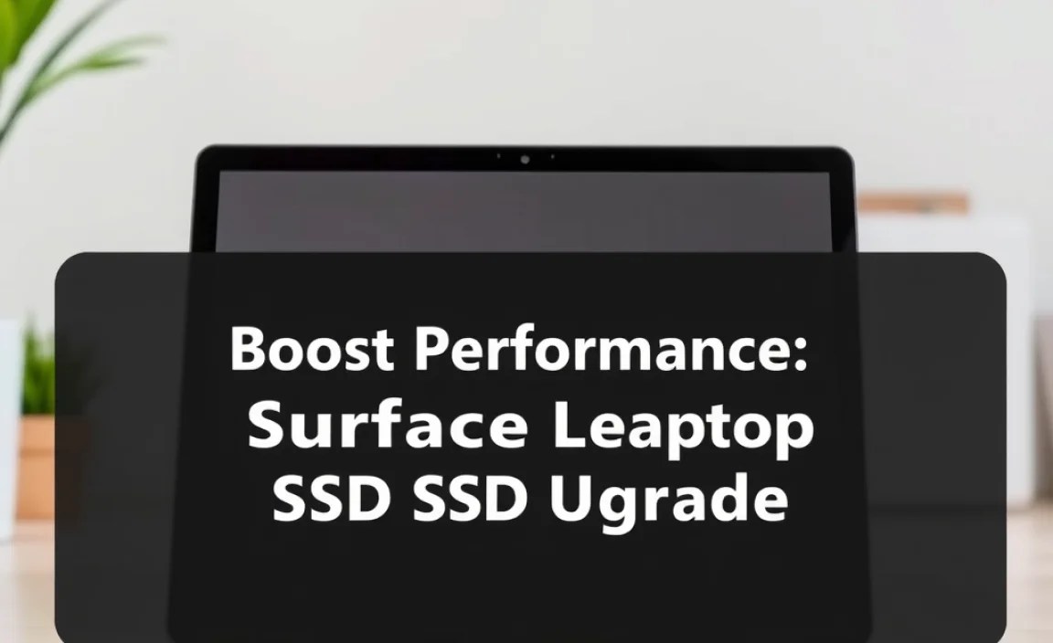 Comparing SSD Sizes