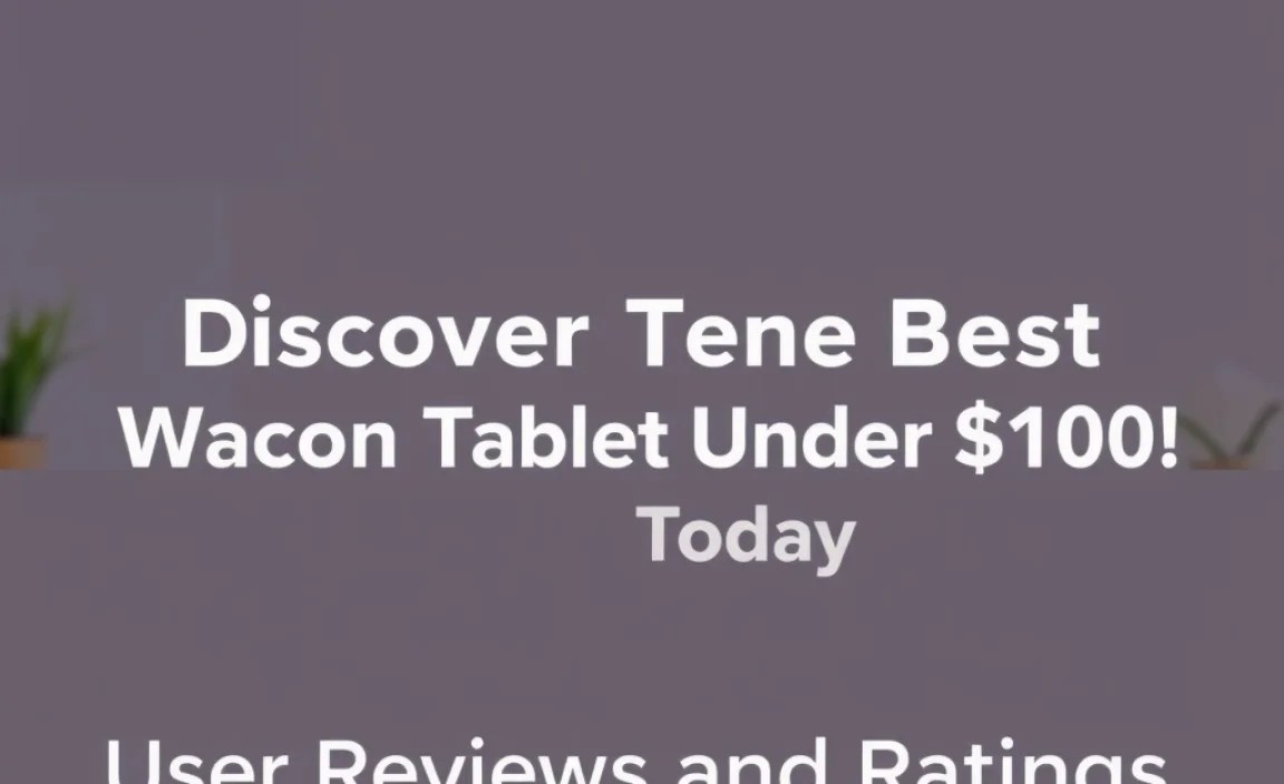 User Reviews and Ratings