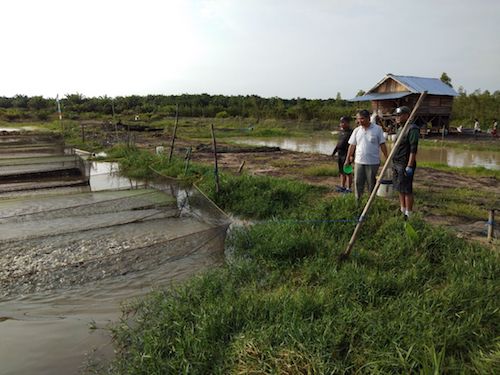 Inilah struktur cerpen dengan berbagai macam jenisnya yang dapat anda ketahui. Tingkatkan Produktivitas Perikanan, Danrem 044/Gapo Tebar Bios 44 Di Kolam Ikan Dusun Setia ...