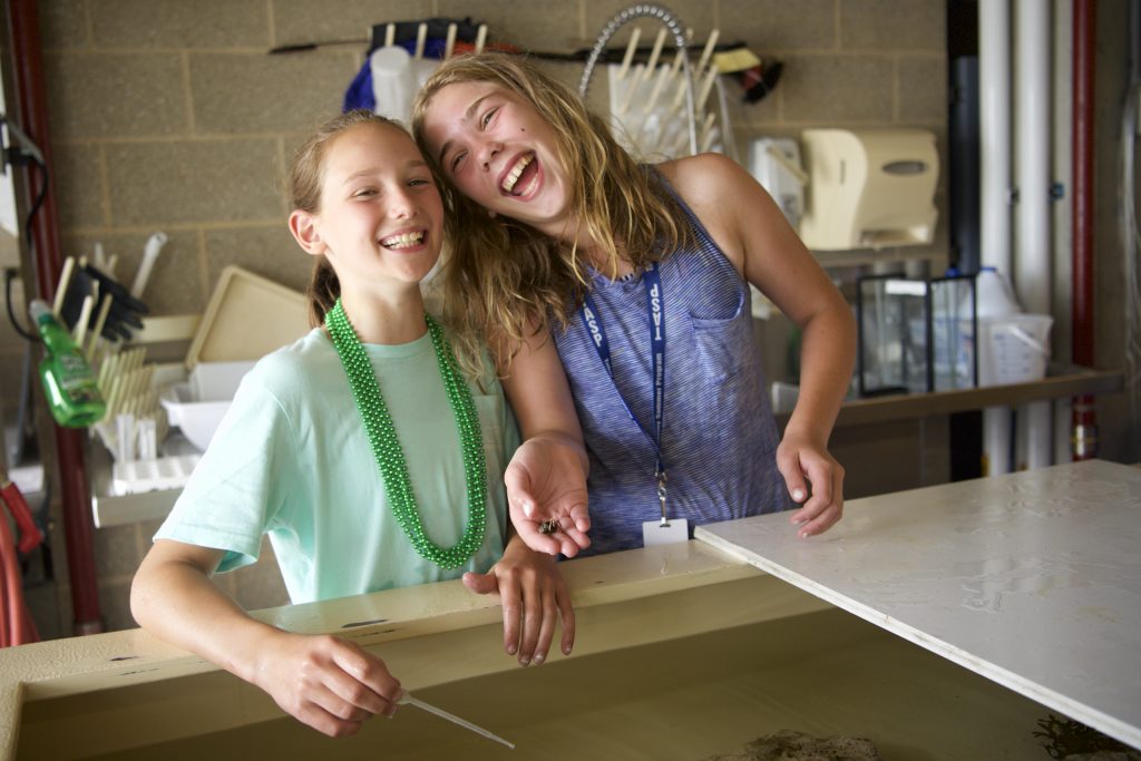 Pictures & Videos Tabor Summer Camp