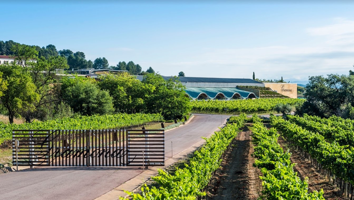 The 7 best wineries near Barcelona Taca de vi