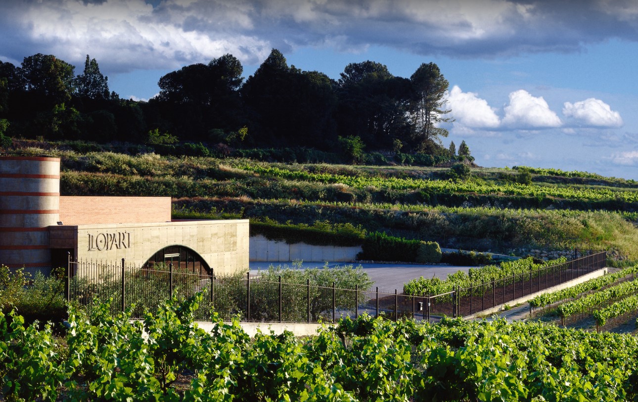 The 7 best wineries near Barcelona Taca de vi