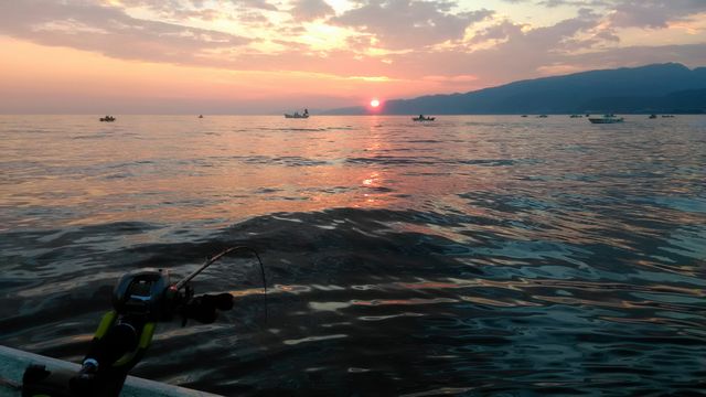 8月6日（日） 糸魚川沖タチウオ タチウオ釣り、あれこれ