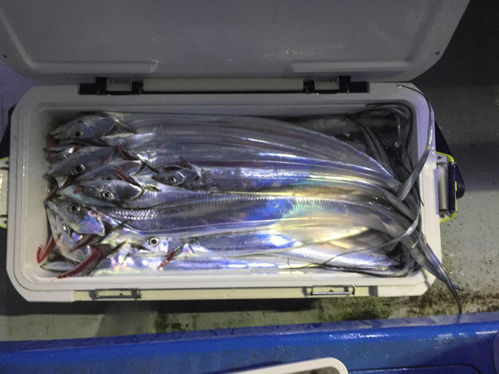 最高のコレクション 太刀魚釣り 餌 333304太刀魚釣り 餌の付け方 Josspixtrmw