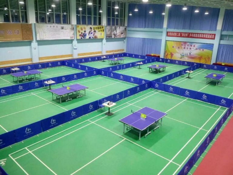 Table Tennis Court Lighting Design TACHYON Light