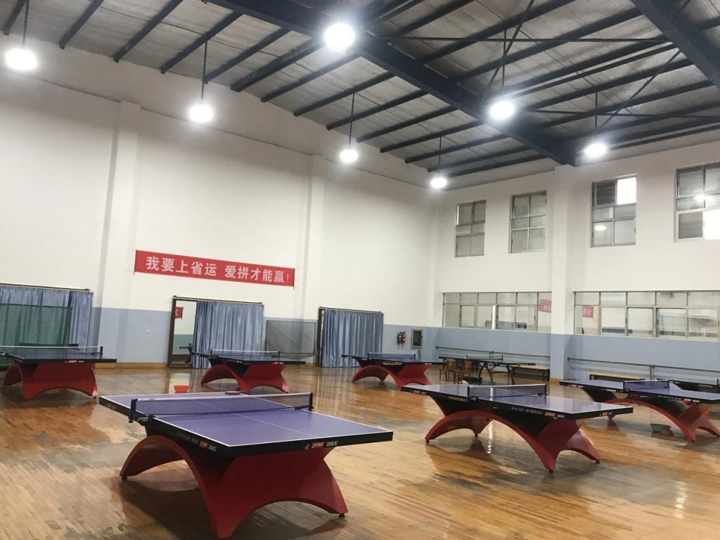 Table Tennis Court Lighting Design TACHYON Light