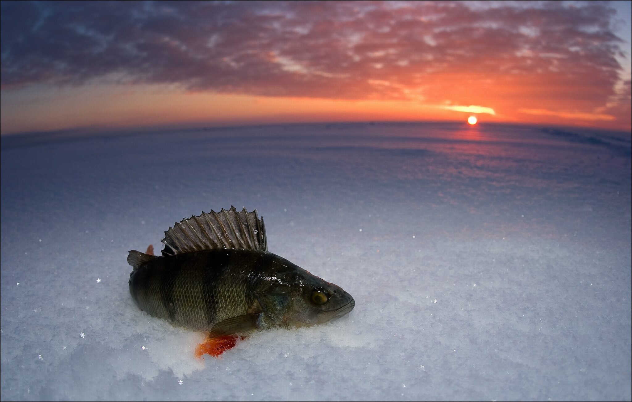 Does Time Of Day Matter When Ice Fishing? (Let’s Find Out)