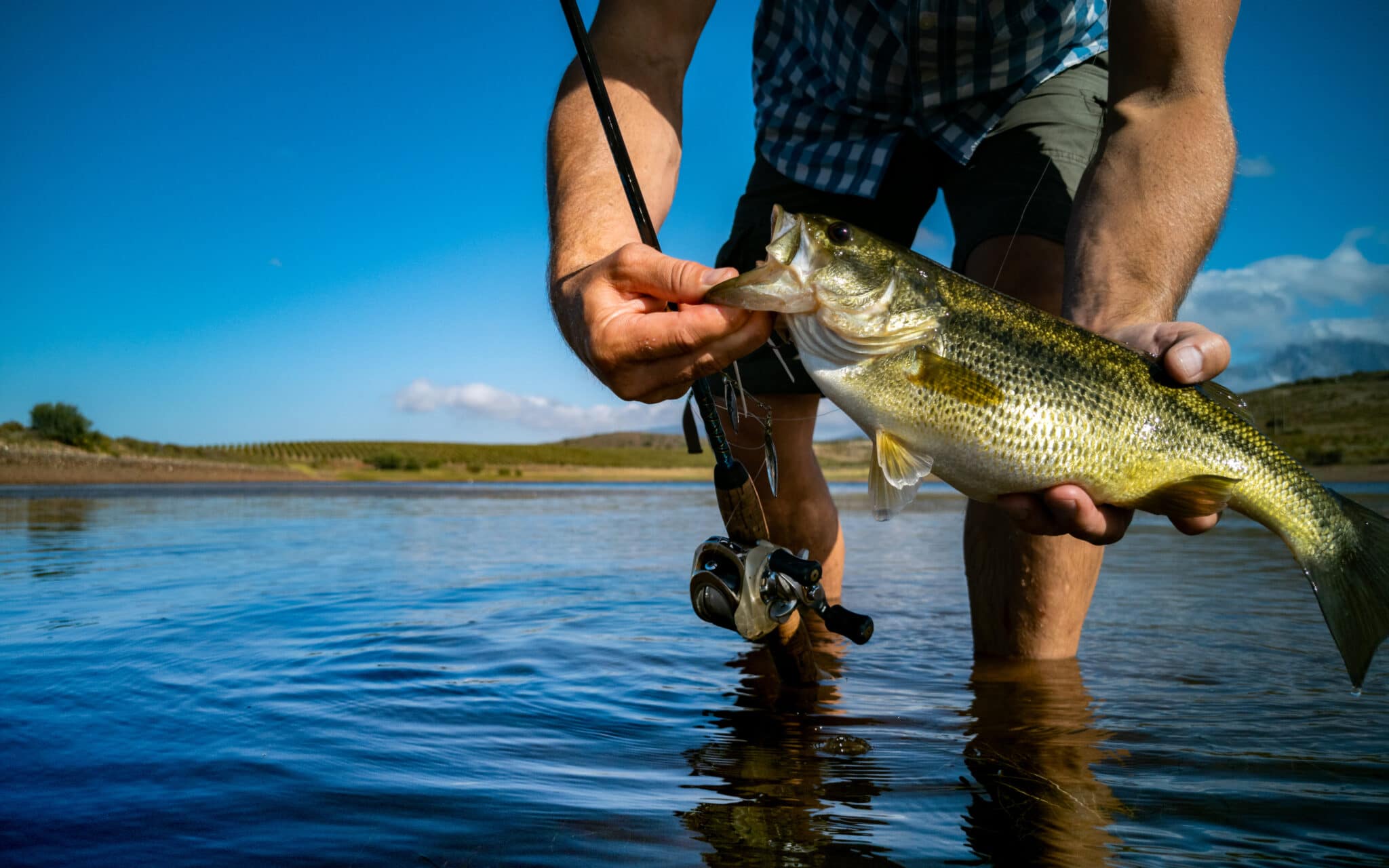 5 Tips For Fishing Without Bait
