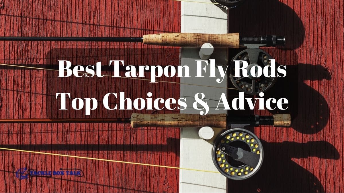 7 Best Tarpon Fly Rods Top Choices & Advice