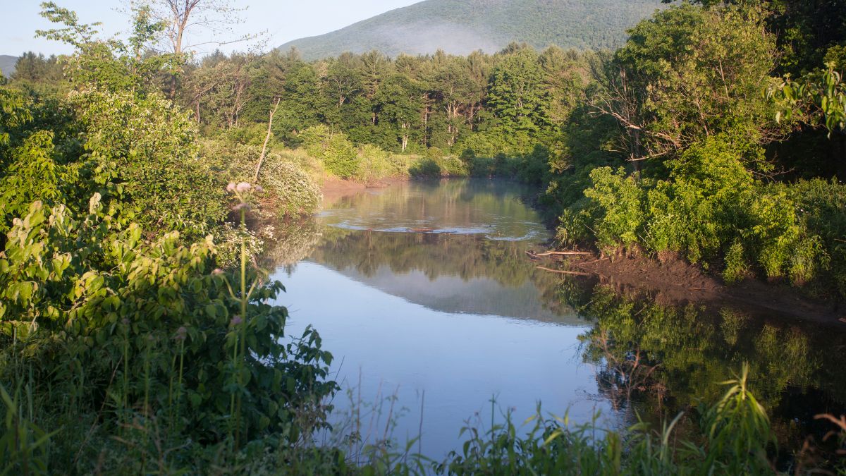 25 Best Fly Fishing Spots in Vermont A Guided Tour