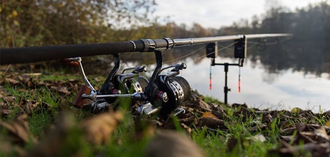 Best Carp Fishing Setup for Beginners TackleMart
