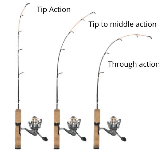 9 Best Carp Rods In 2024 (Full Carp Fishing Rod Guide)