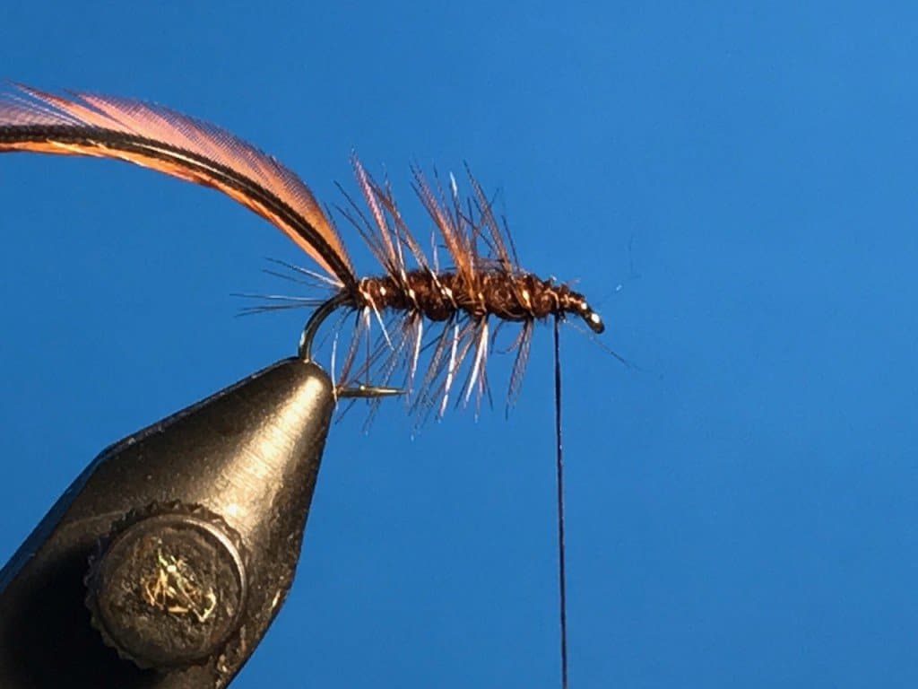 Tying the Elk Hair Caddis Easy Instructions to Tie This Fly