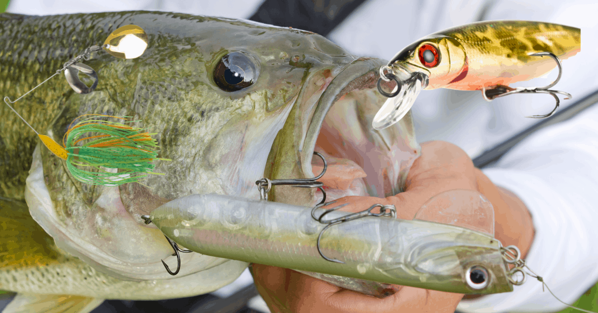 Best Spring Bass Lures Our 14 Top Spawning Season Baits in 2024