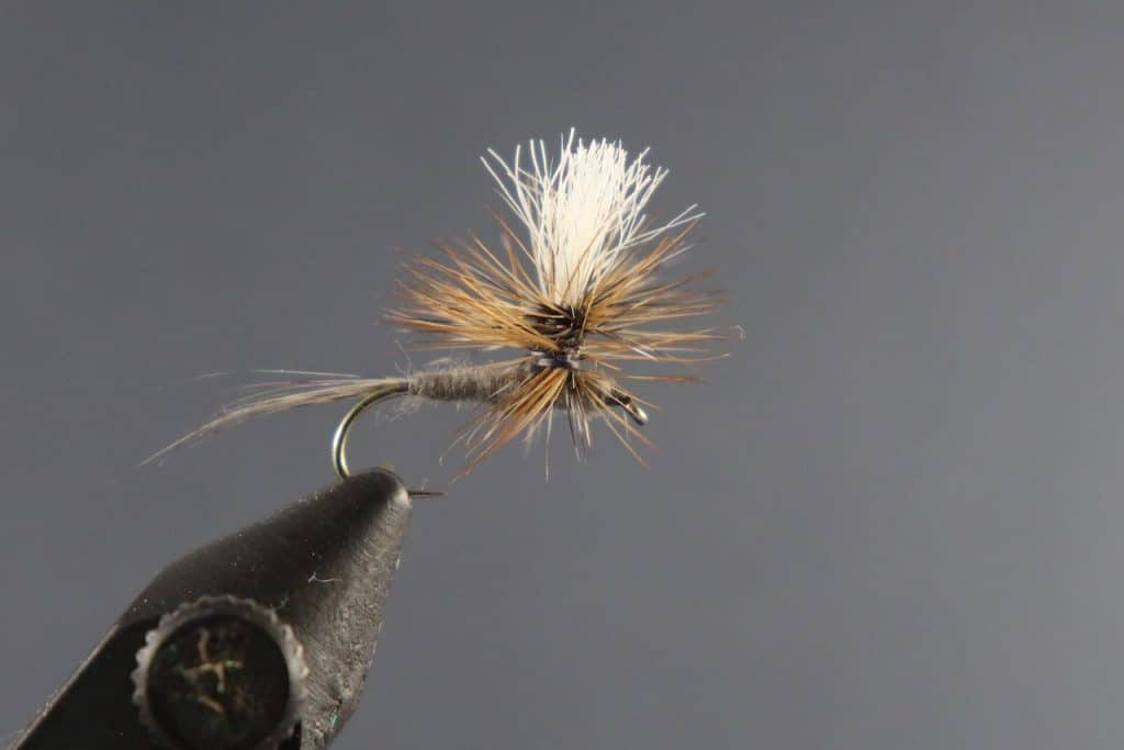 Wet Fly vs Dry Fly Key Differences & How to Decide Which?